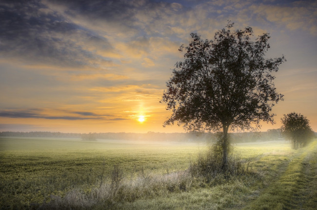 Обои картинки фото природа, восходы, закаты, простор