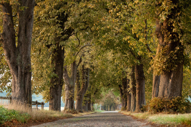 Обои картинки фото природа, дороги, простор