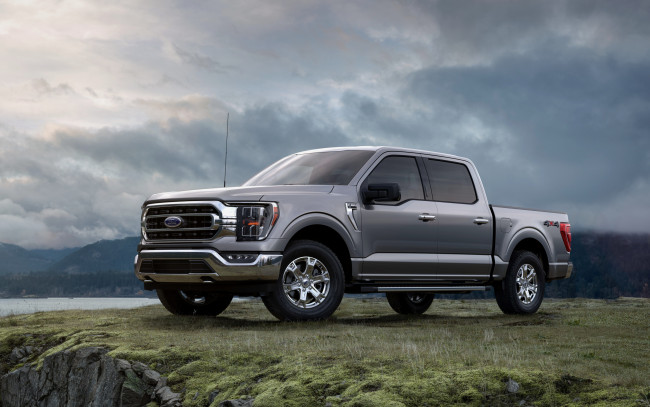 Обои картинки фото автомобили, ford, f150, 2021, вид, спереди, экстерьер, новый, серый, американские, природа, пикап