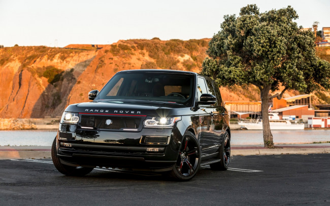 Обои картинки фото автомобили, range rover, strut