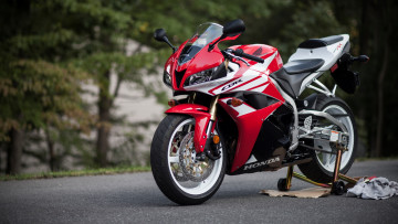 обоя мотоциклы, honda, cbr, 600rr, хонда, спортбайк