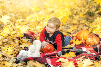 обоя разное, дети, ребенок, тыквы, корзина, подстилка, листья, осень