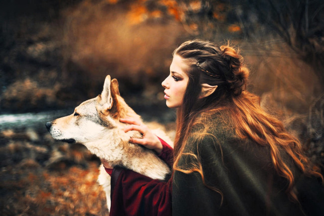 Обои картинки фото девушки, - креатив,  косплей, образ, косплей, наряд, эльфийка, ушки, собака, лес, осень