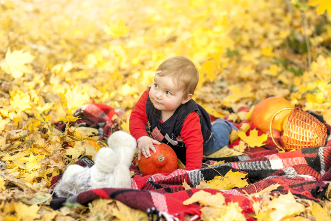 Обои картинки фото разное, дети, ребенок, тыквы, корзина, подстилка, листья, осень