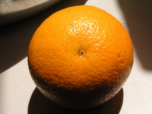 Картинка еда цитрусы