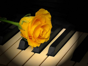 Картинка разное