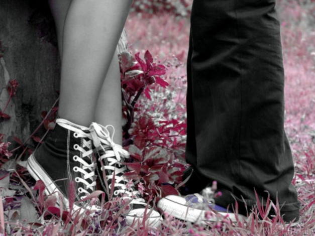 Обои картинки фото разное