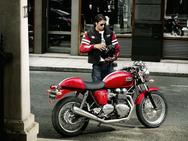 Обои картинки фото мотоциклы, triumph