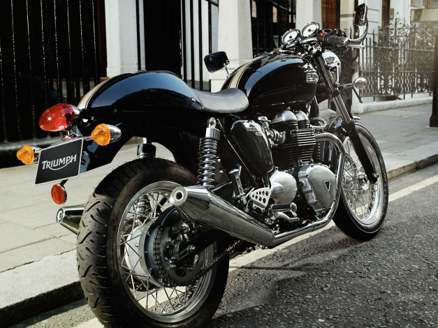 Обои картинки фото мотоциклы, triumph