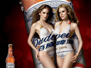 Картинка бренды budweiser