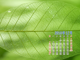 Картинка календари природа