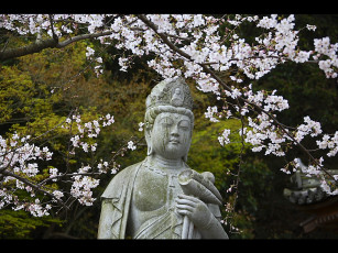 Картинка разное рельефы статуи музейные экспонаты