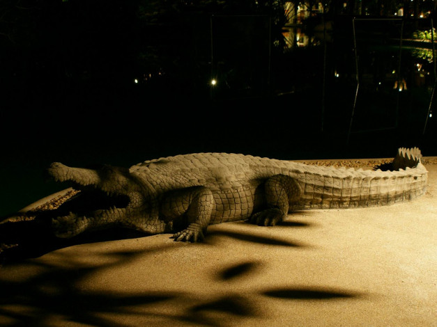 Обои картинки фото разное, рельефы, статуи, музейные, экспонаты