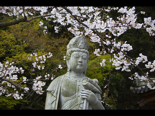 Обои картинки фото разное, рельефы, статуи, музейные, экспонаты