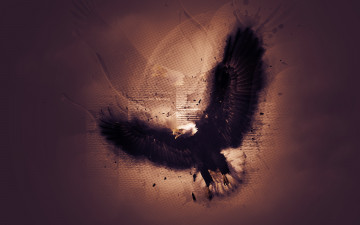 Картинка разное компьютерный дизайн орел графика