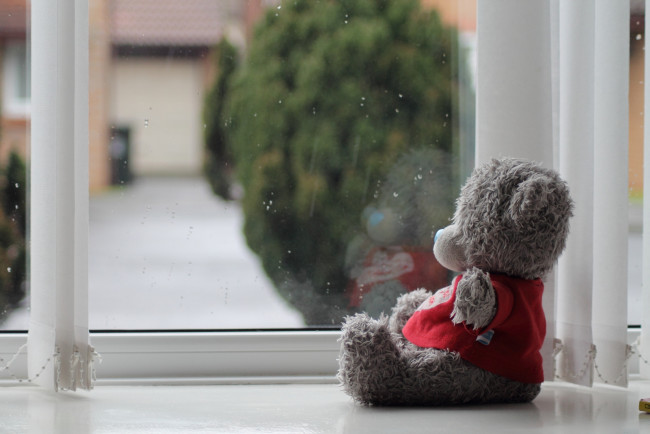 Обои картинки фото разное, игрушки, тэдди, окно, грусть, настроение