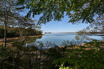 Картинка природа реки+озера