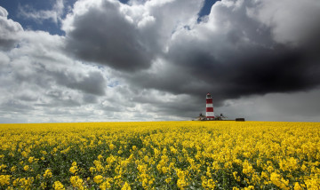 Картинка природа маяки