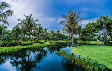 Картинка природа тропики