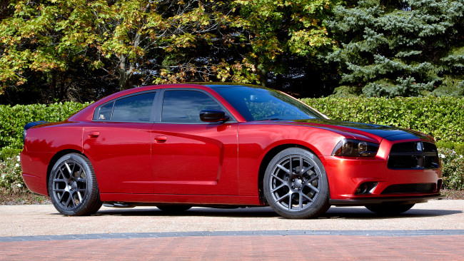 Обои картинки фото dodge charger, автомобили, dodge