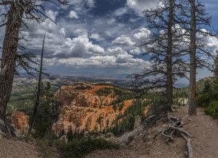 Картинка природа горы лес облака