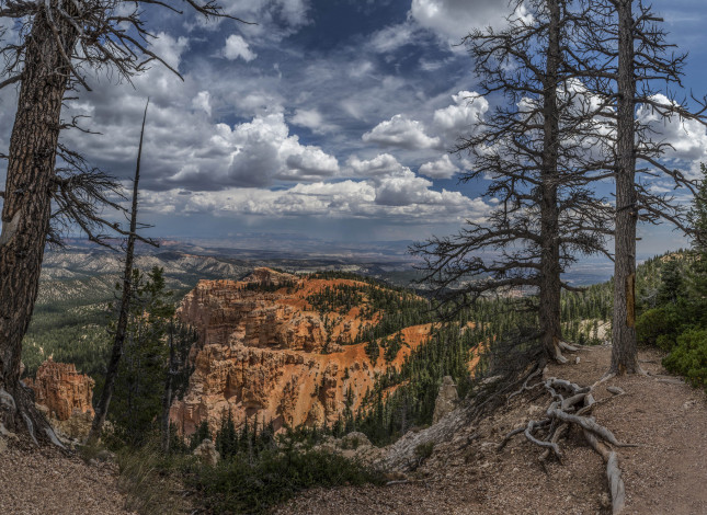 Обои картинки фото природа, горы, лес, облака