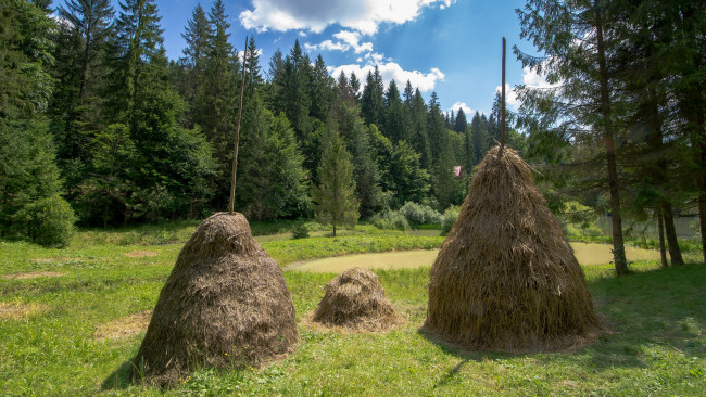 Обои картинки фото природа, другое, лес, поляна, стога
