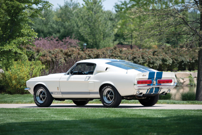 Обои картинки фото shelby gt500 with lemans stripes option, автомобили, mustang, shelby