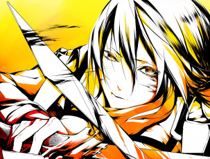 Картинка аниме shingeki+no+kyojin mikasa ackerman