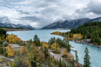 Картинка природа реки озера лес река