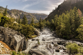 Картинка природа реки озера река лес