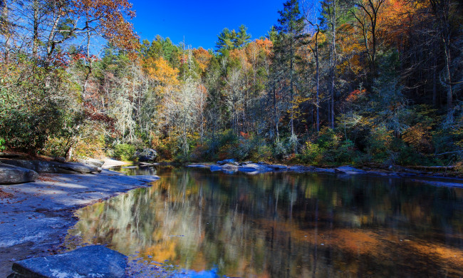 Обои картинки фото природа, реки, озера, лес, река