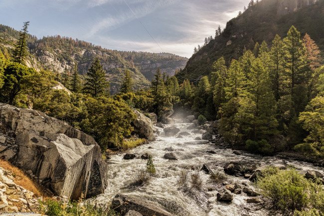 Обои картинки фото природа, реки, озера, река, лес