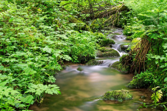 Картинка природа реки озера простор