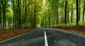 Картинка природа дороги простор