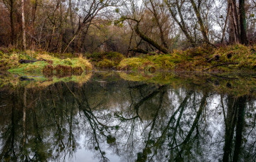 Картинка природа реки озера простор