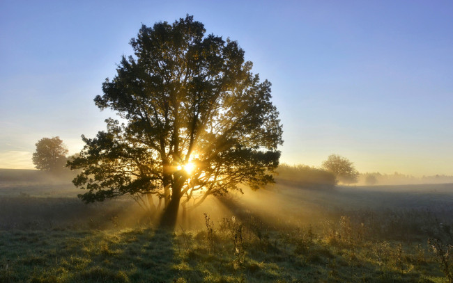 Обои картинки фото природа, восходы, закаты, простор