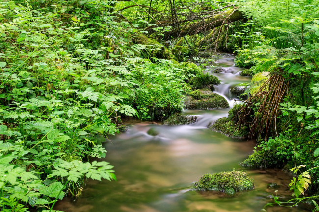 Обои картинки фото природа, реки, озера, простор