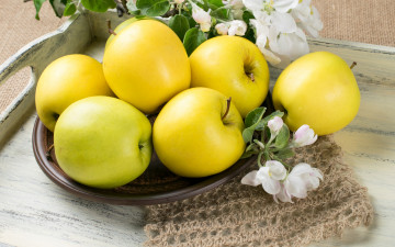 Картинка еда яблоки