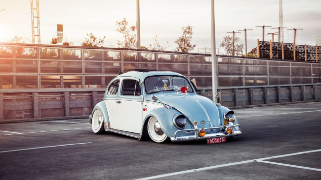 Обои картинки фото автомобили, volkswagen, beetle