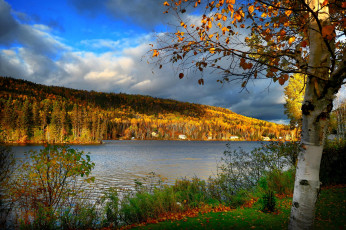 Картинка природа реки озера горы лес осень дома река береза тучи