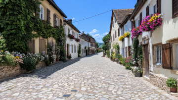 обоя 3д графика, реализм , realism, улица, дома, цветы