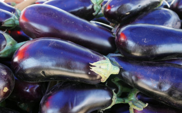 обоя еда, баклажаны, овощи, макро, урожай