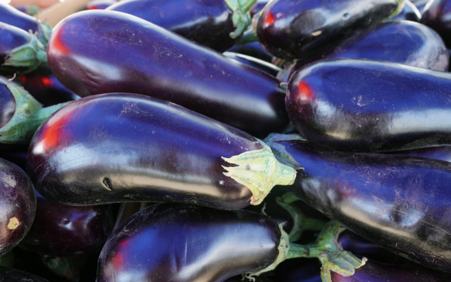 Обои картинки фото еда, баклажаны, овощи, макро, урожай