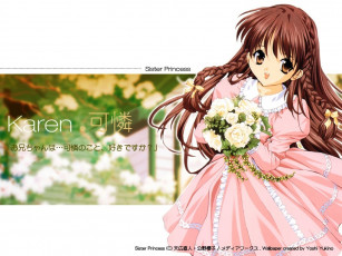 Картинка аниме sister princess