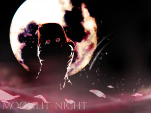 Картинка аниме tsukihime