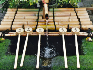 Картинка разное