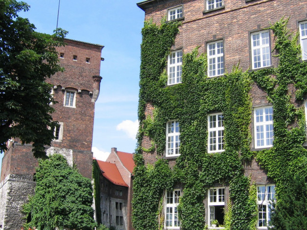 Обои картинки фото города