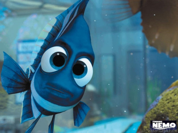 Обои картинки фото мультфильмы, finding, nemo