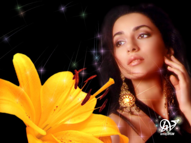 Обои картинки фото музыка, zara